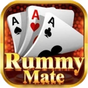 Rummy Mate archive icon